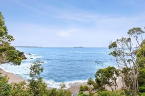 在海灘附近