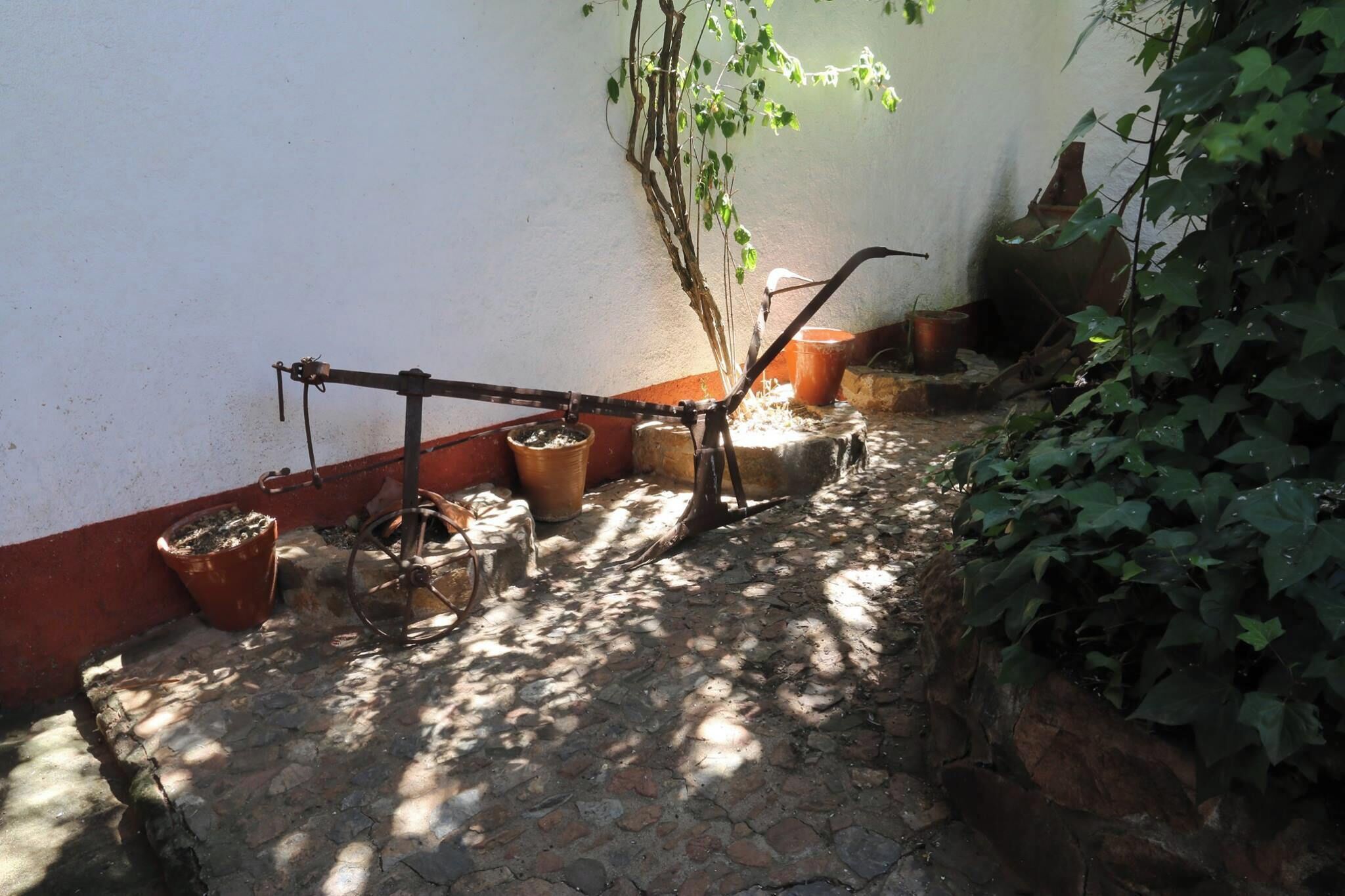 Un jardín con plantas en macetas, una estructura metálica y un sendero de piedra.