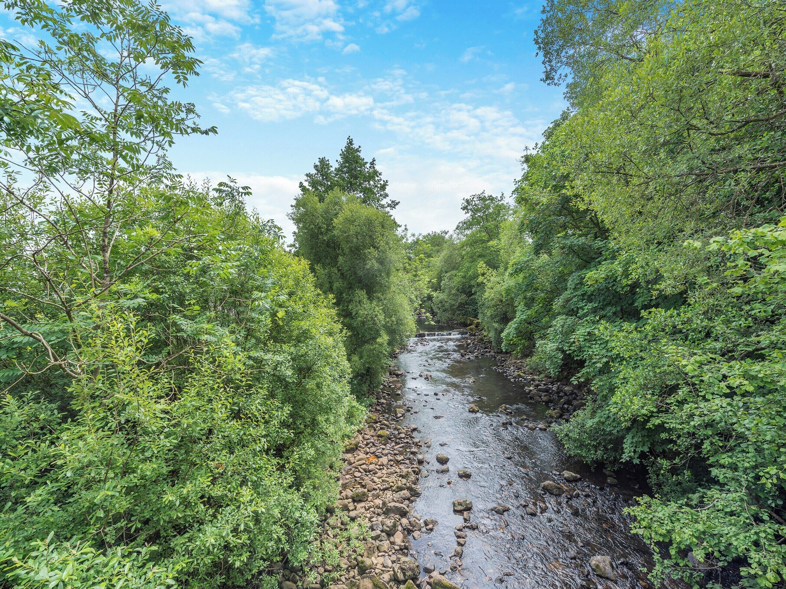A narrow river surrounded by dense greenery.