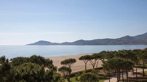 Eine Küstenlandschaft mit Strand, Kiefern und Bergen im Hintergrund.