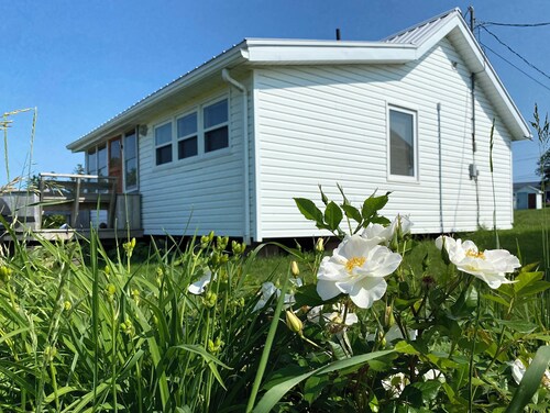 Fiddlehead Cottage on the Bay. Water view, bayside gazebo, trail access, beaches