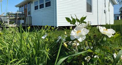 Fiddlehead Cottage on the Bay. Water view, bayside gazebo, trail access, beaches