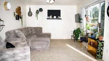 Smart TV, libros, monitor de computadora