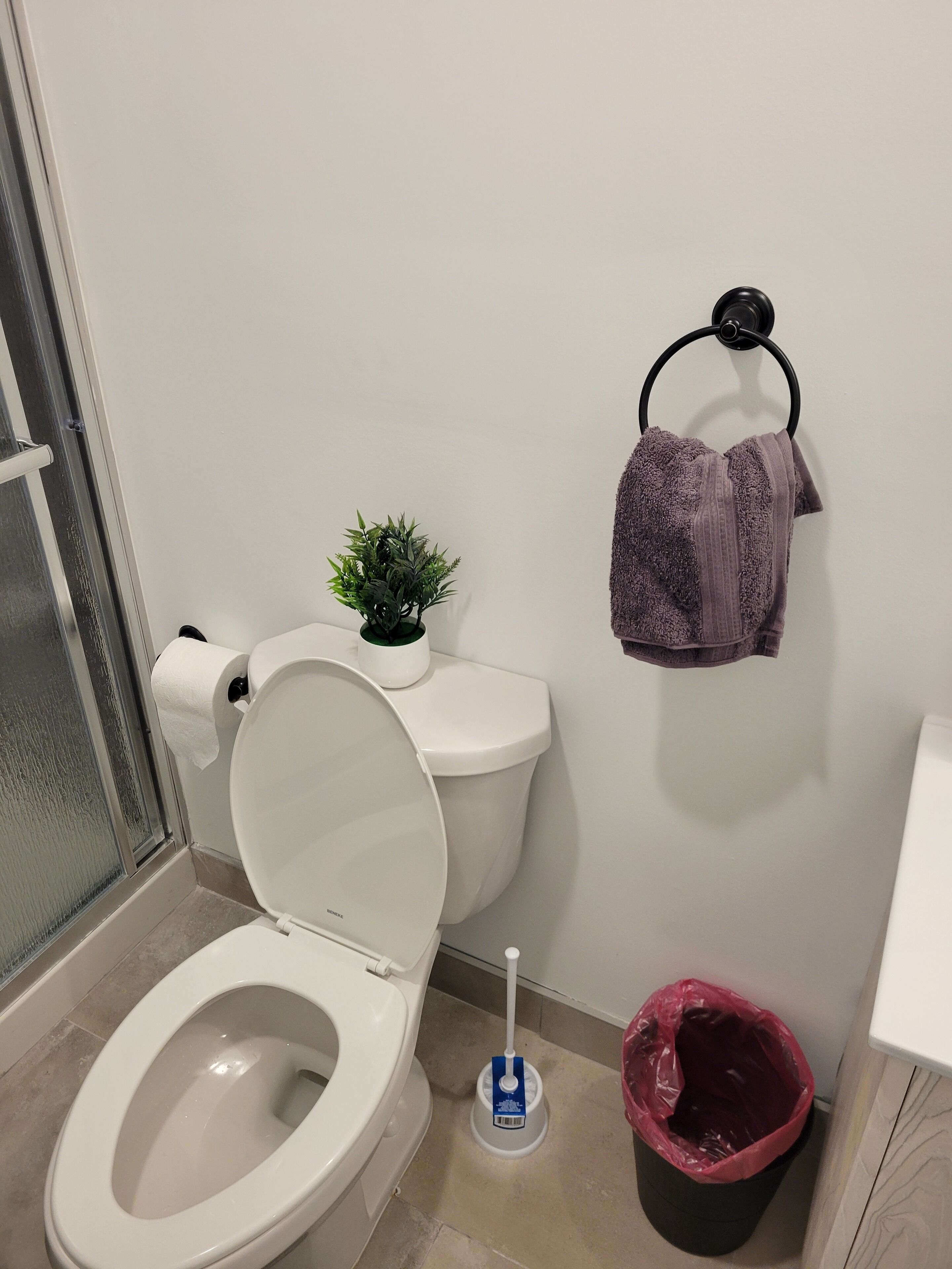 Une salle de bain comprenant des toilettes, une petite plante en pot, une serviette à mains, un porte-rouleau de papier toilette, une serpillière et une poubelle.