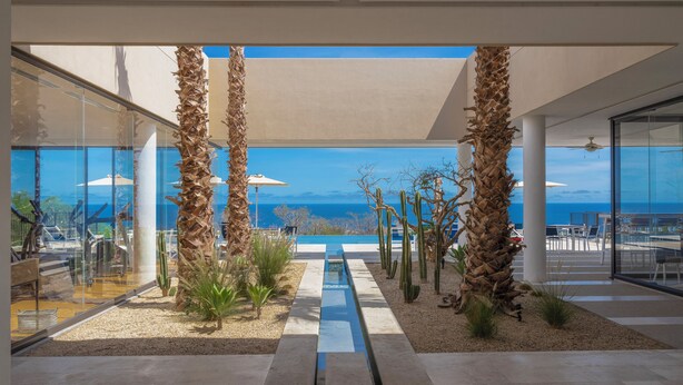 A modern outdoor area with a clear view of the ocean, featuring palm trees, a water feature, and glass walls.