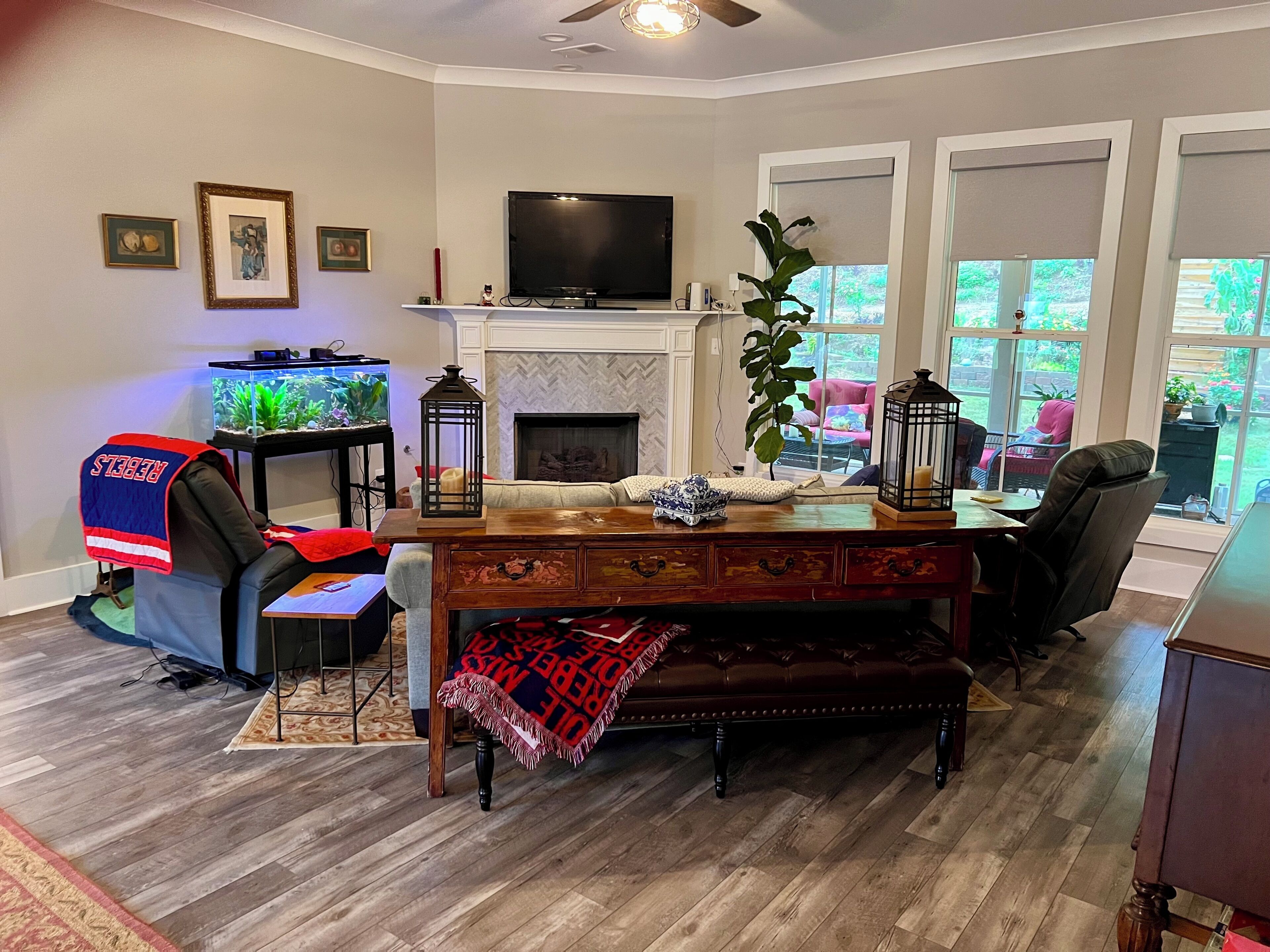 Smart TV, fireplace, books