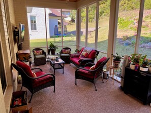 Smart TV, fireplace, books