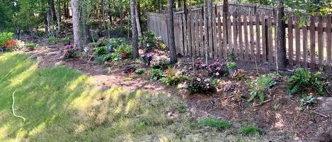 A garden with a wooden fence, various plants, and a lawn.