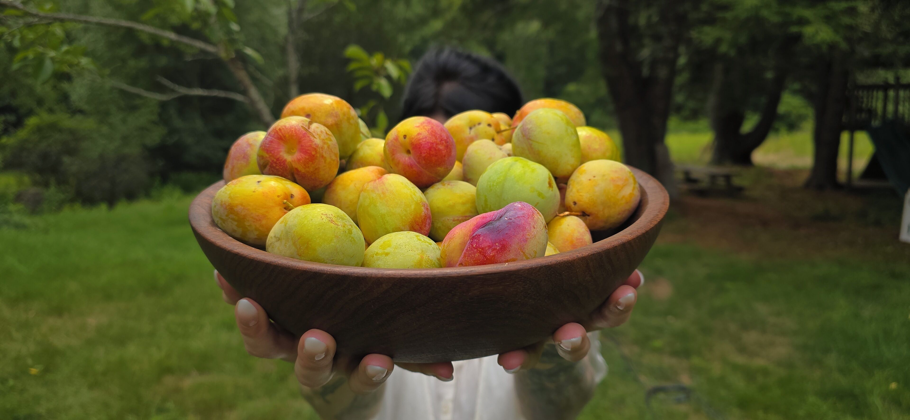 Una ciotola di legno piena di frutta dai colori diversi, tenuta da una persona.