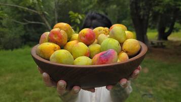 Una ciotola di legno piena di frutta dai colori diversi, tenuta da una persona.