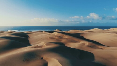 Modern bungalow with bicycles