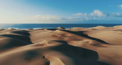 Modern bungalow with bicycles