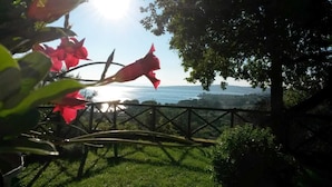 A garden with a metal fence, red flowers, and a view of a body of water. - Breathtaking view of the lake and castle surrounded by holm oaks and oaks (Lazio)