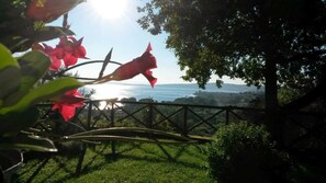 Property grounds - Breathtaking view of the lake and castle surrounded by holm oaks and oaks (Lazio)