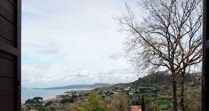 Breathtaking view of the lake and castle surrounded by holm oaks and oaks