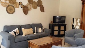 Un salon avec un canapé gris, des coussins à motifs, une table basse en bois et un téléviseur posé sur un meuble noir.