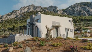 Una casa moderna con fachada de piedra, amplias ventanas y un jardín con diversas plantas y flores.