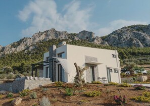 Ein modernes, zweistöckiges Haus mit einer Steinfassade, großen Fenstern und einem Garten mit verschiedenen Pflanzen und Blumen.
