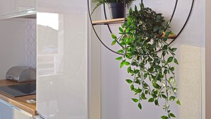 A kitchen with white cabinets, a refrigerator, and a wall-mounted plant shelf with various plants.