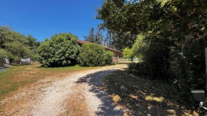 A gravel driveway leading to a house with a red roof, surrounded by dense greenery and trees.
