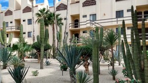Une cour d’hôtel agrémentée de cactus et de palmiers, avec un immeuble à plusieurs étages doté de balcons.