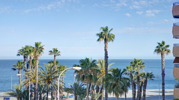 A beach with palm trees, a clear sky, and a view of the sea. - Ref. 493702 (Almuñecar)