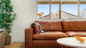 Smart TV, fireplace, books, stereo