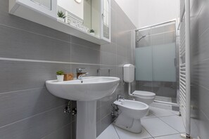 Shower, hair dryer, bidet, towels
