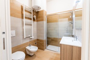 Shower, hair dryer, bidet, towels