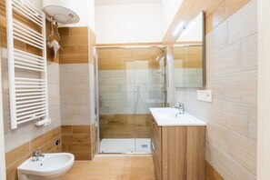 Shower, hair dryer, bidet, towels