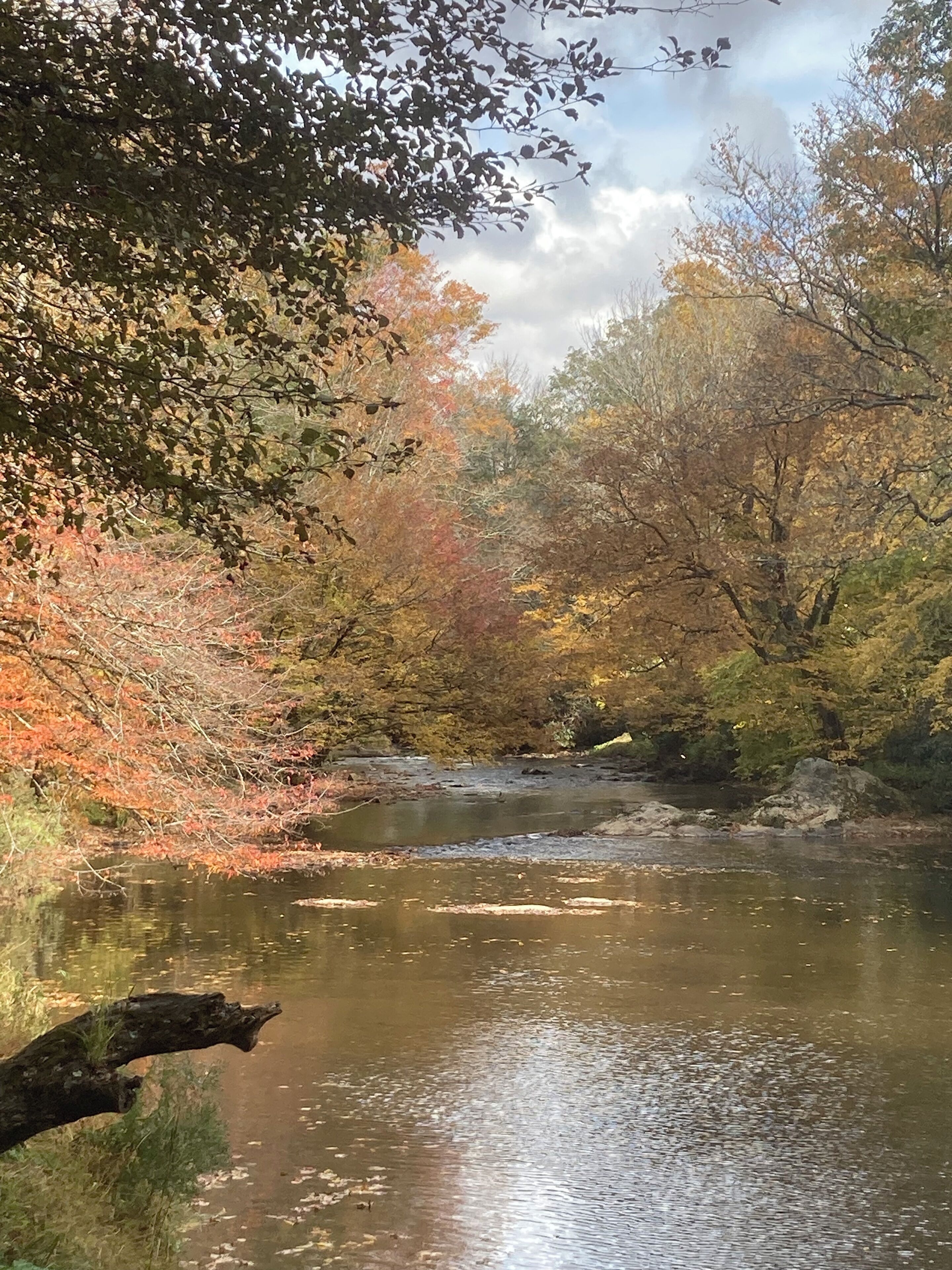 Une rivière paisible, bordée d’arbres aux feuilles d’automne.