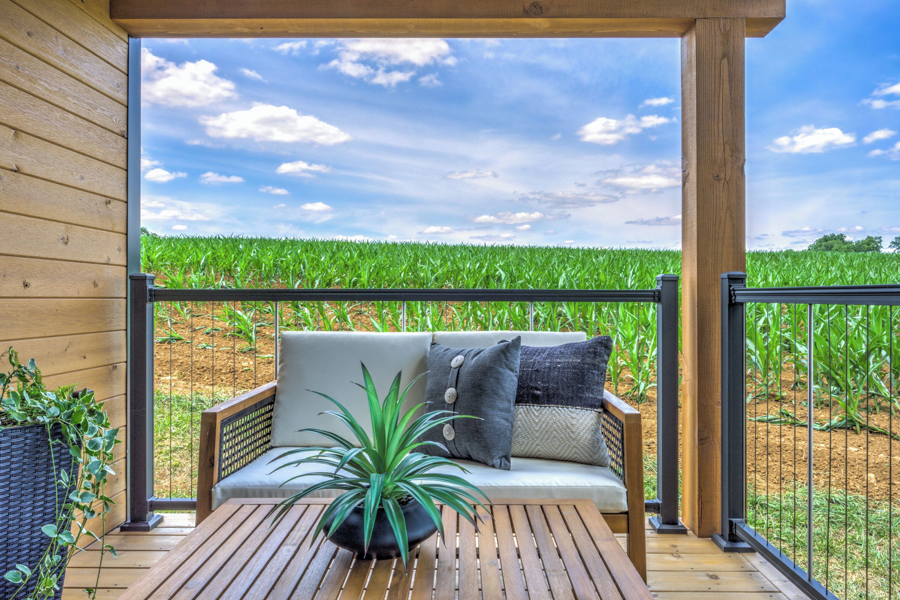 A wooden deck with a sofa and a potted plant, overlooking a field.