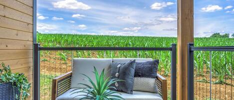 A wooden deck with a sofa and a potted plant, overlooking a field.