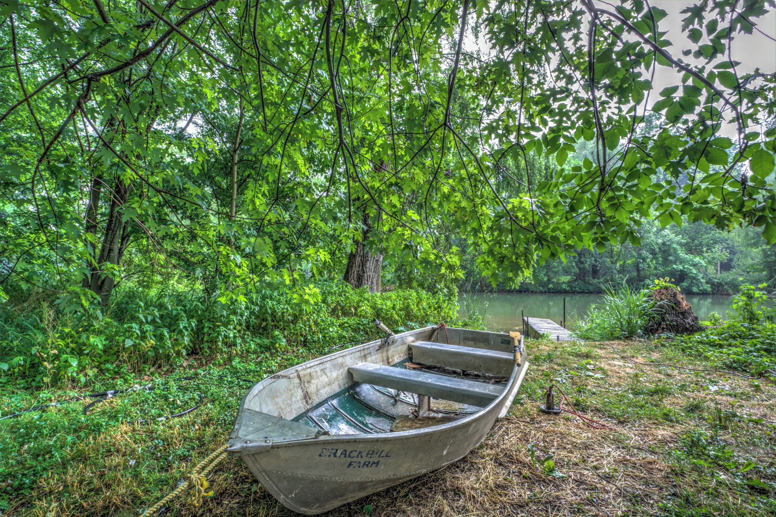 Un bote a remeros llamado 'Crackbill Farm' sobre una orilla cubierta de césped, junto a una masa de agua tranquila, rodeado de frondosa vegetación verde.