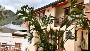 A rustic outdoor setting with a wooden table, a white pitcher with a plant, and a slice of bread on a white plate. - BLAU HOTEL CAFE (Sopó)