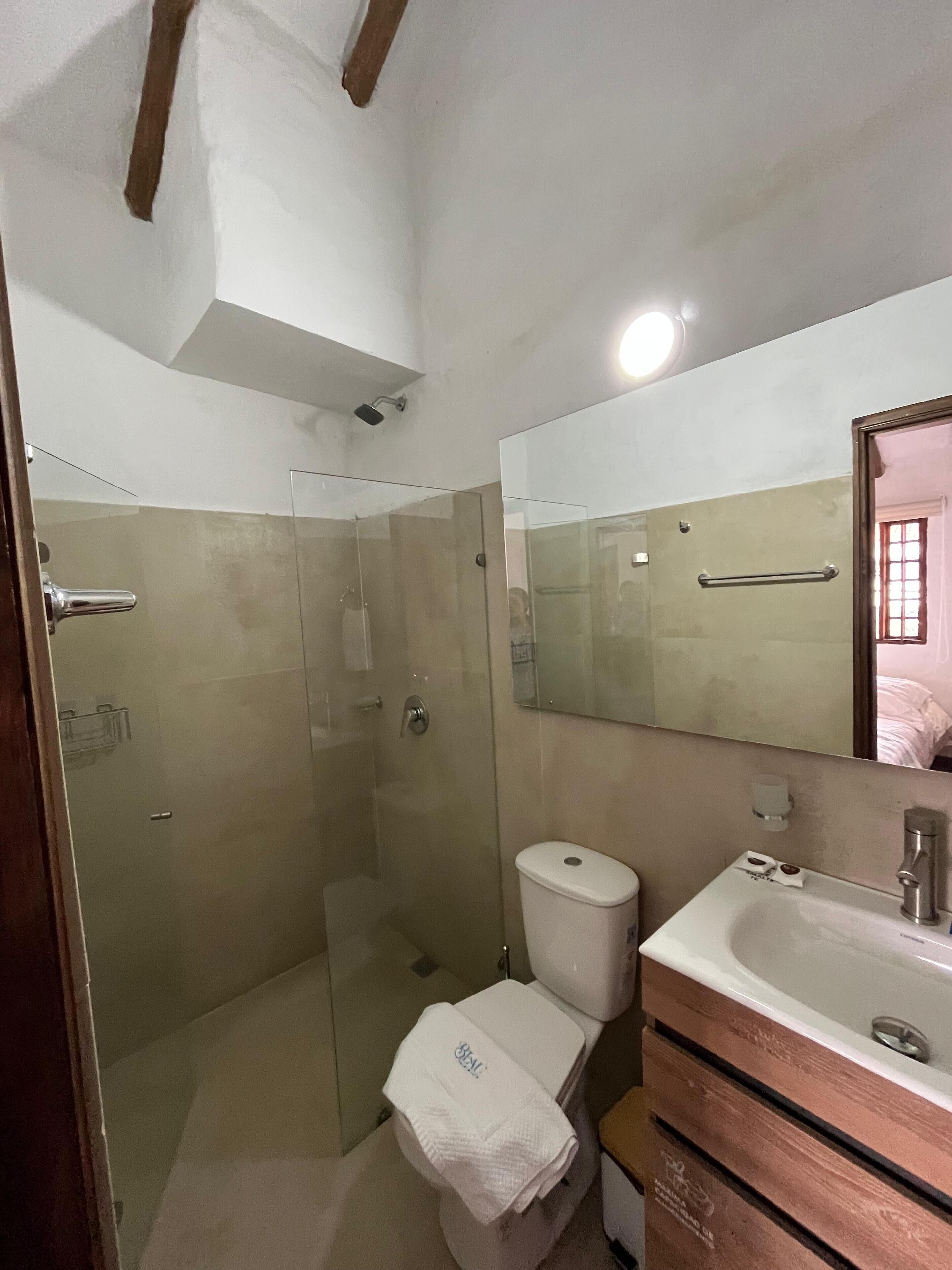 Un baño con cabina de ducha de vidrio, inodoro, lavamanos con espejo y armarios de madera.