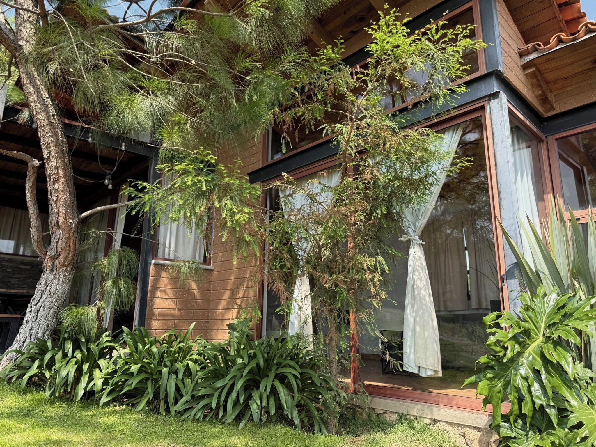 A modern house with large windows, a wooden deck, and lush greenery including trees and plants.