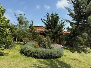 Living area - Cabañas Santa Fe Tapalpa (Tapalpa)