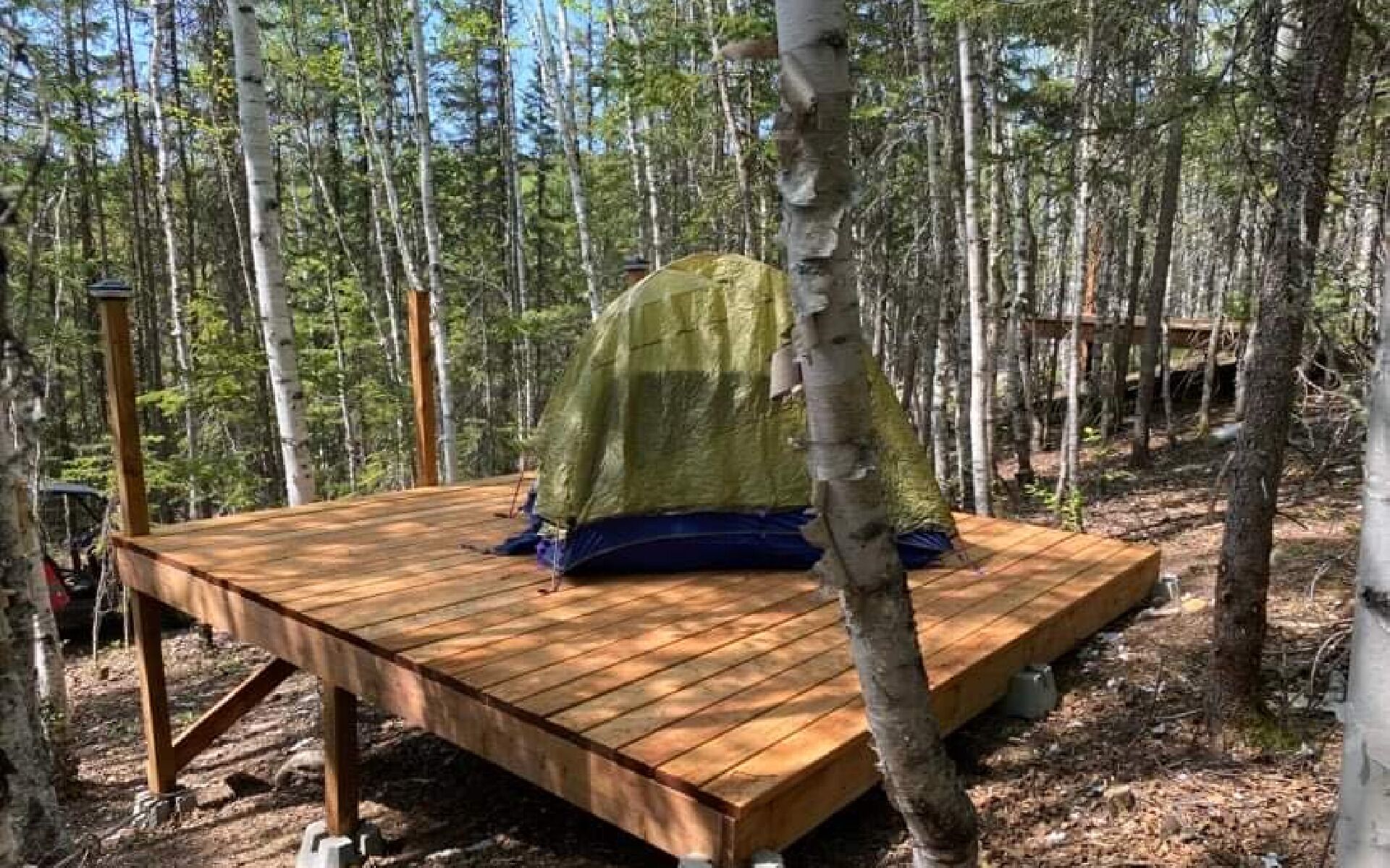 A wooden deck with a green tent in a forest.