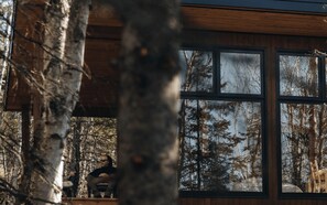 المنطقة المحيطة بالمنشأة