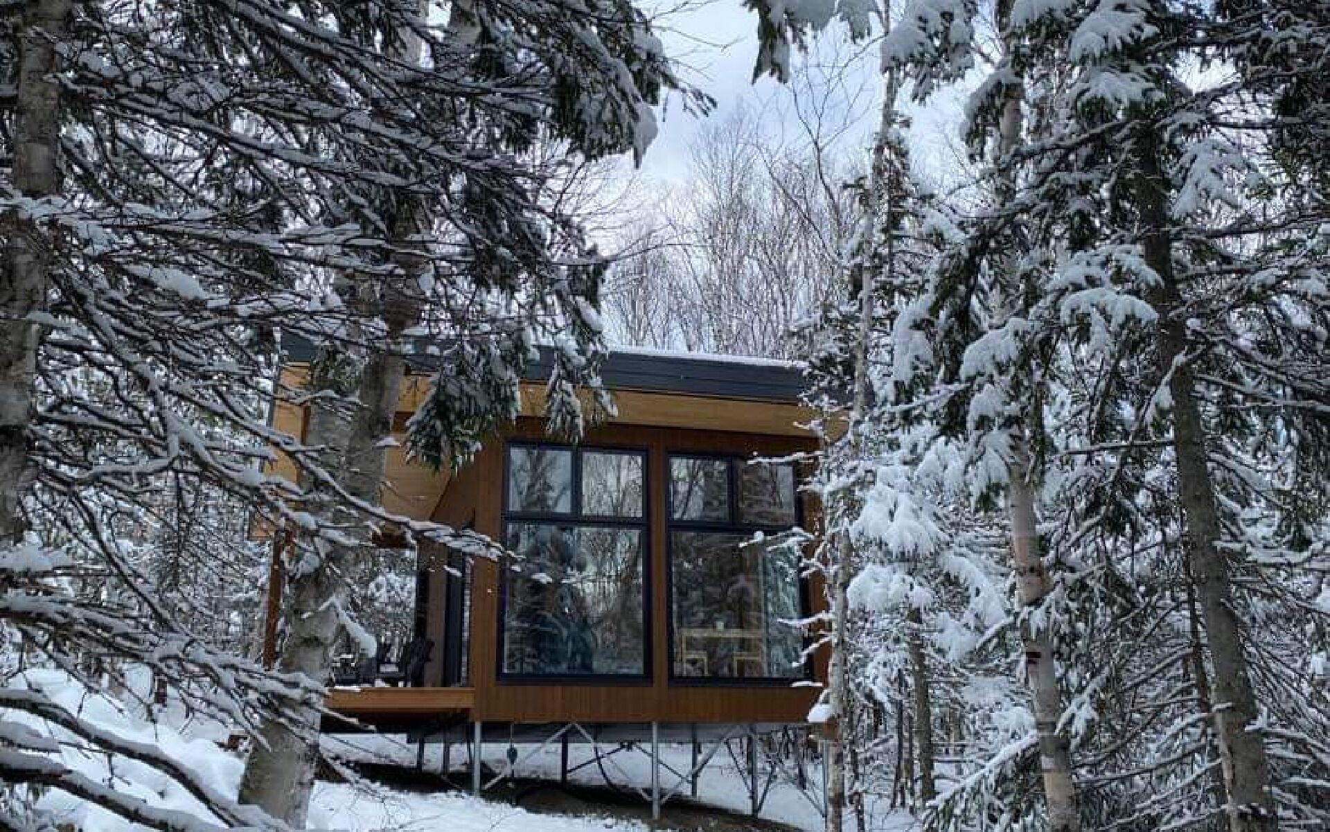 Une cabane dotée de grandes fenêtres, entourée d’arbres couverts de neige.