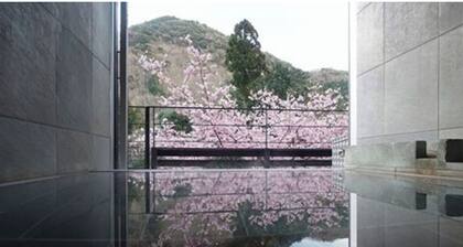 Bettei COCORO VS | Room only VS / Kamogun Shizuoka