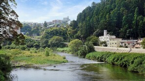 منوع
