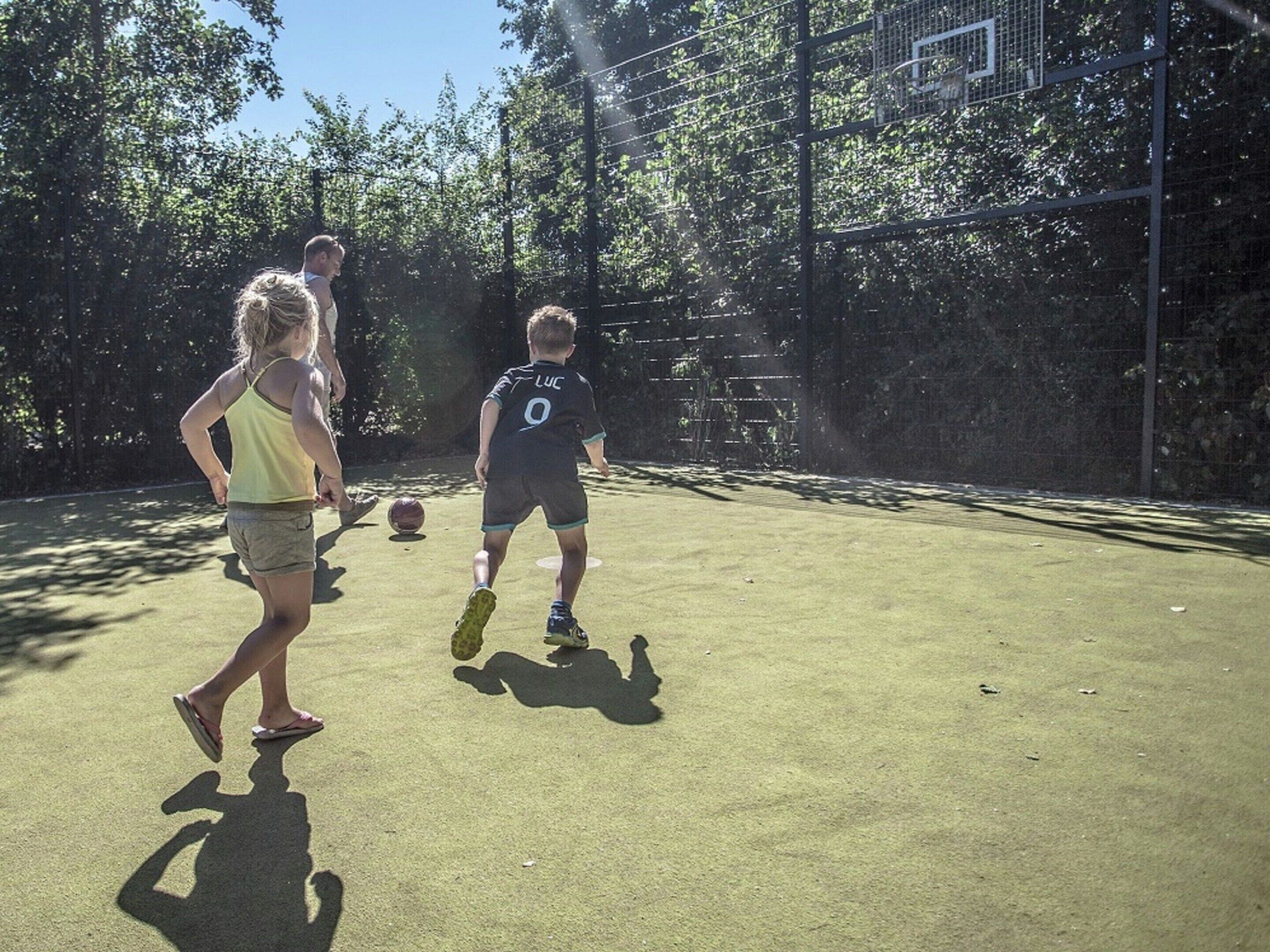 A basketball court with a net, surrounded by trees.