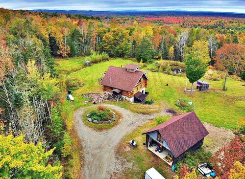Central yet quiet Log Cabin on 4 acres with laundry, kitchen, bathroom and sauna