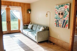 TV connectée, cheminée, livres