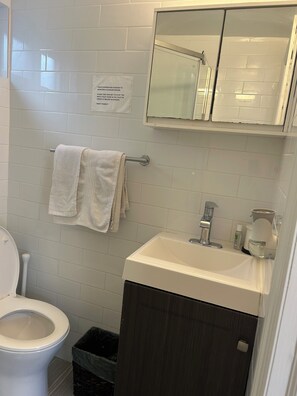 Serviettes fournies, savon, shampoing, papier toilette