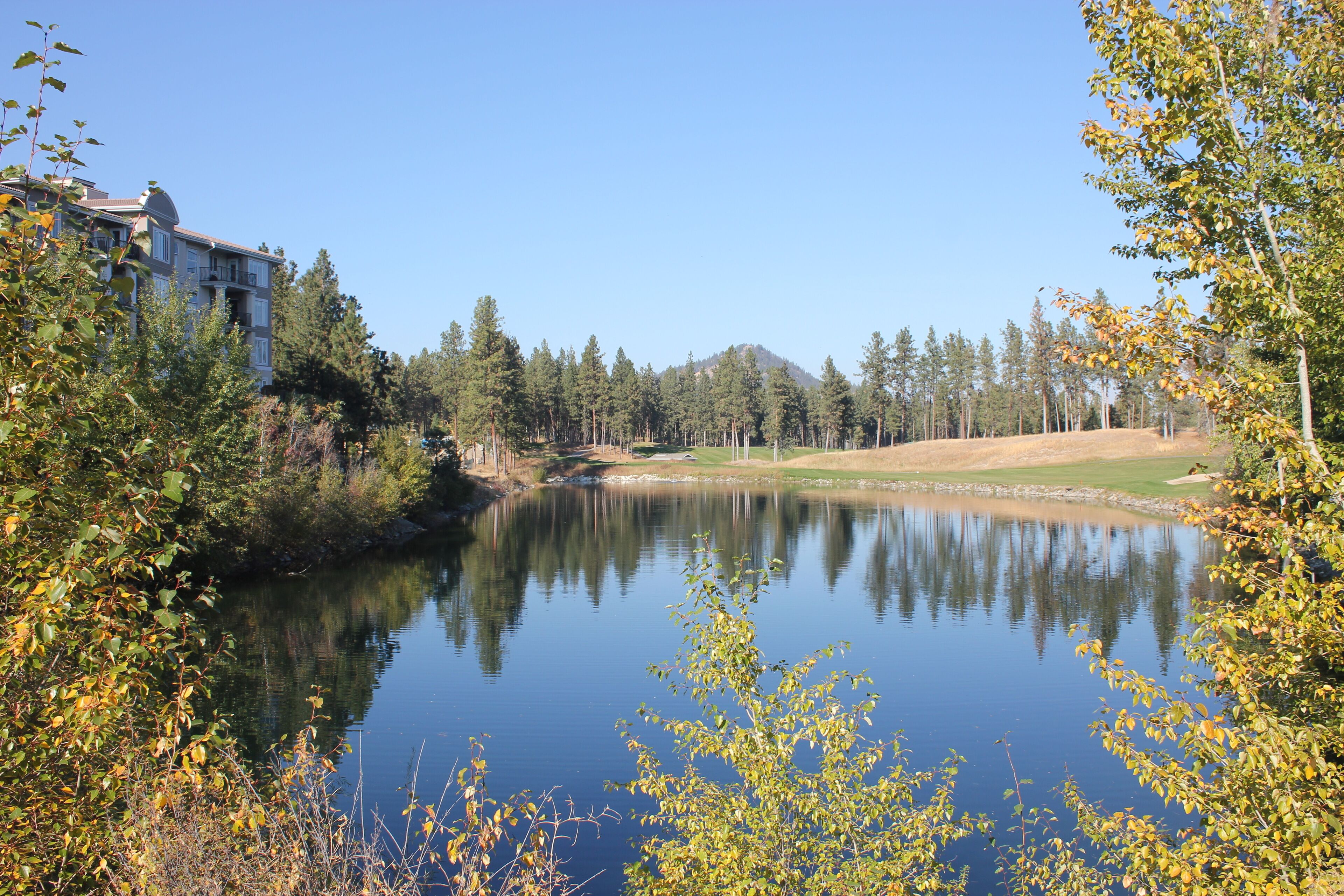 Tabla de planchar con plancha, wifi y ropa de cama 