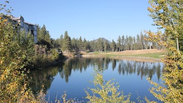 Tabla de planchar con plancha, wifi y ropa de cama