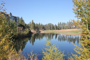 Bügeleisen/Bügelbrett, WLAN, Bettwäsche